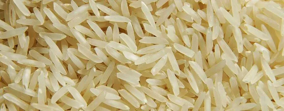 The 6 Best Commercial Rice Cookers for Restaurants