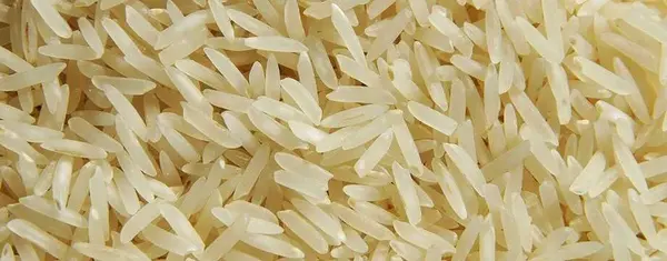 The 6 Best Commercial Rice Cookers for Restaurants