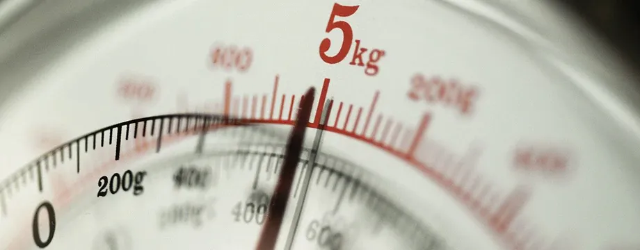How to Choose the Right Scales for Business