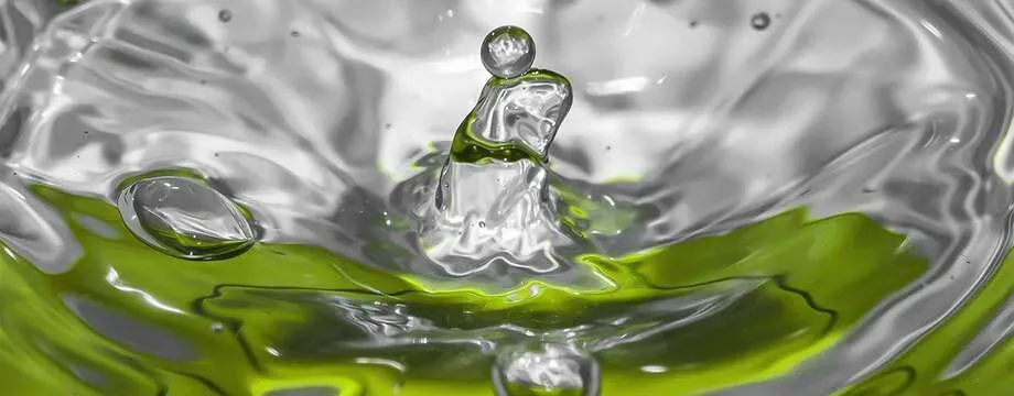 Key Factors to Consider When Choosing Commercial Dishwasher for Your Restaurant