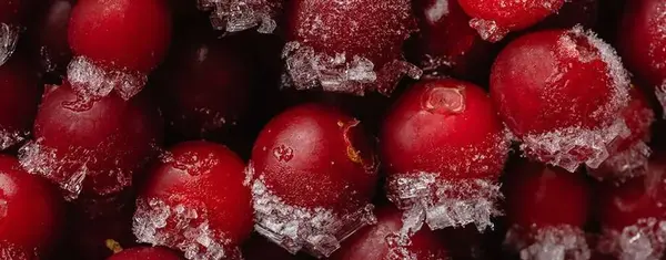 Chest Freezers Reviews