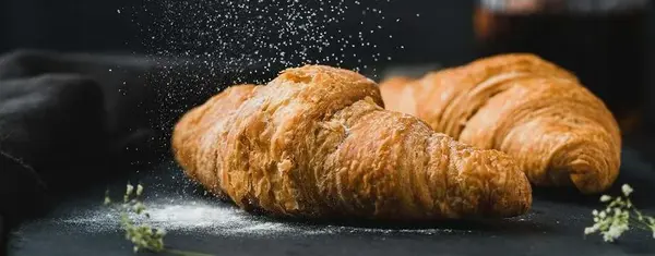 Refrigerated Bakery Cases Reviews: Our Top 8 Picks