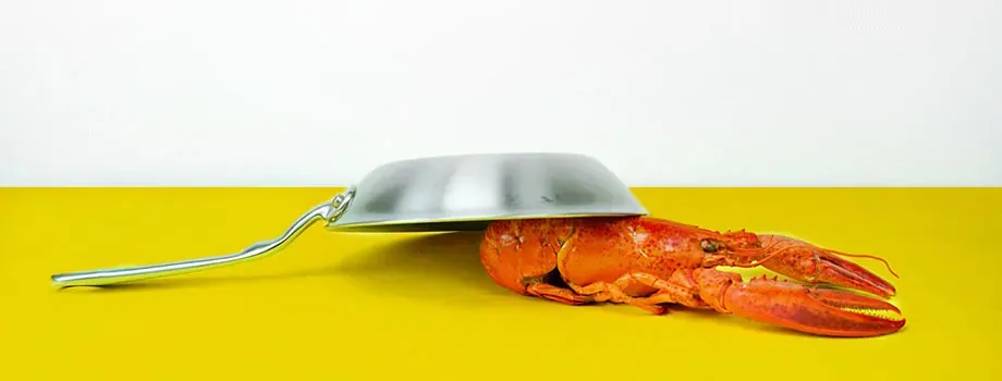 Choosing Professional Cooking Pans for Your Kitchen