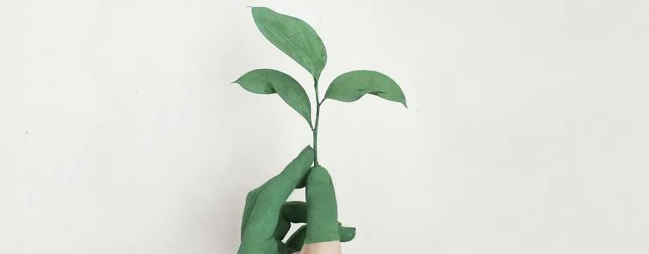 9 Tips on How to Make Your Restaurant Eco-Friendly