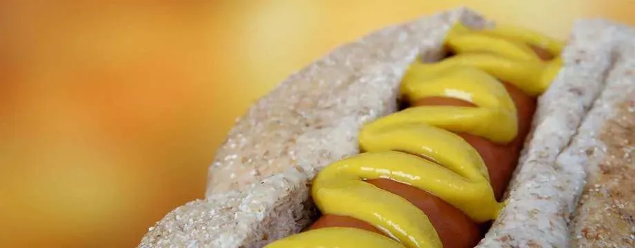 What is the Best Hot Dog Roller Grill?
