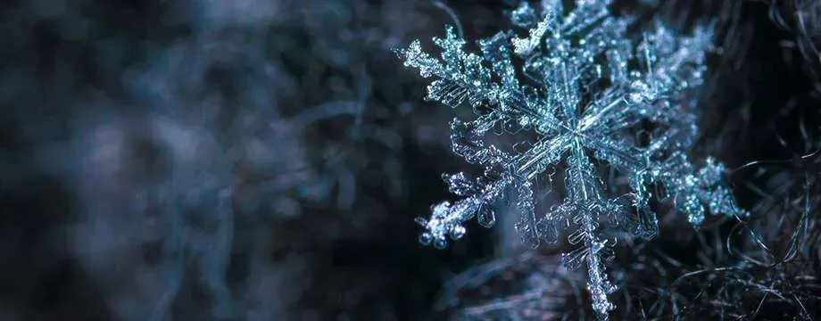 Commercial Reach-In Refrigerator & Freezer Buying Guide