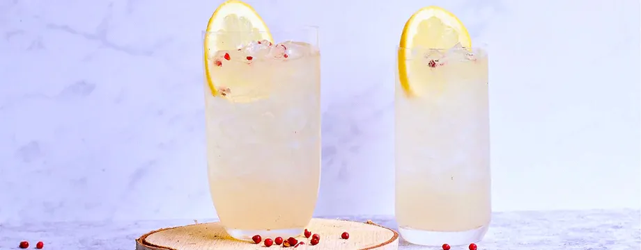 How to Keep and Maintain A Granita Machine