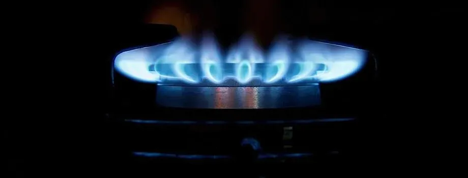 How to Choose the Best Professional Gas Range
