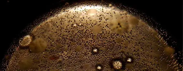 Choosing the Right Commercial Fryer - 5 Things to Consider