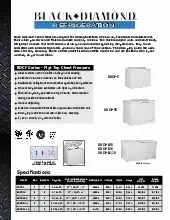 bdcf-10r-250829dt8bs9.pdf