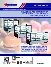 rs-cn-0160-5-250829v3besd.pdf