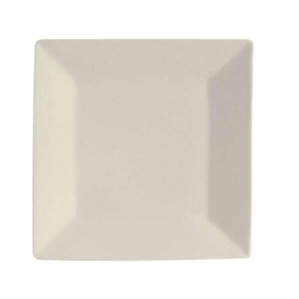 C.A.C. RE-SQ21, 12-Inch Stoneware Square Plate, DZ