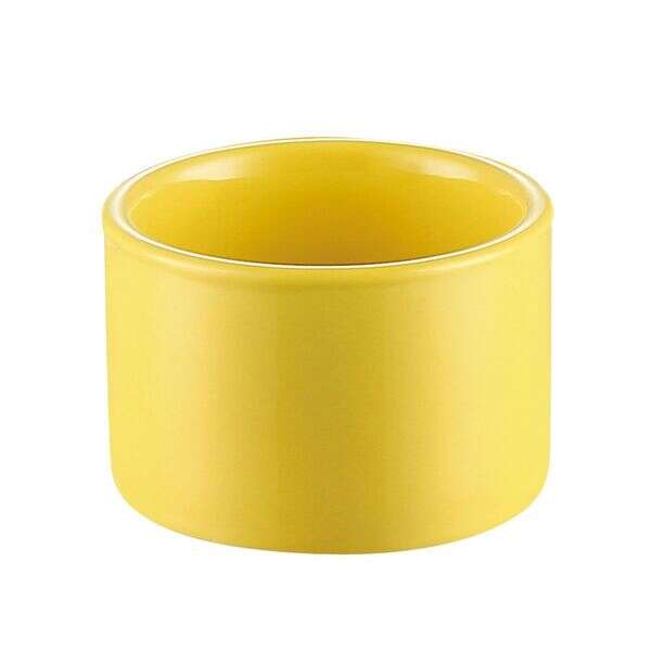 C.A.C. RKF-C4-SFL, 5 Oz 3-Inch Stoneware Sunflower Straight Ramekin, 2 DZ/CS