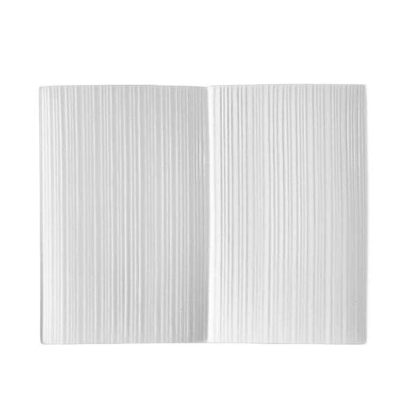 C.A.C. SUS-2P, 10-Inch Porcelain 2 Section Rectangular Platter, 2 DZ/CS