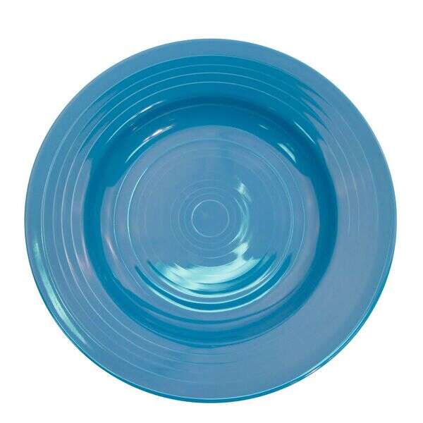 C.A.C. TG-120-PCK, 22 Oz 12-Inch Porcelain Peacock Pasta Bowl, DZ