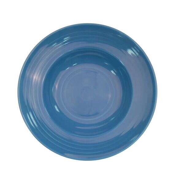 C.A.C. TG-3-PCK, 9 Oz 9-Inch Porcelain Peacock Pasta Bowl, 2 DZ/CS