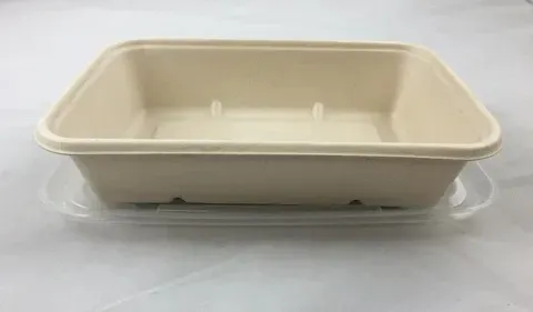 EccoCane EB868, 28 Oz Rectangular PFAS-Free Natural Bagasse Blend Container, 300/CS