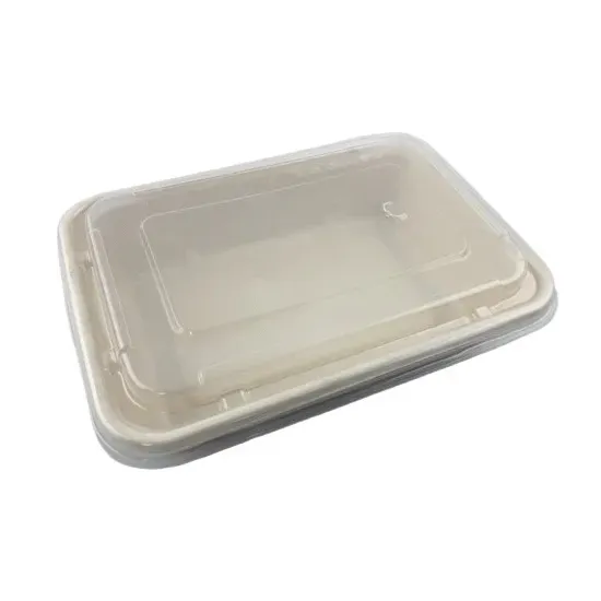 EccoCane LD08D-PET, Rectangular PET Dome Lid for EB868 and EB888 Containers, 300/CS