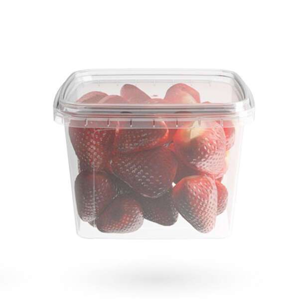 Elfe Plastik 6009EP 16 Oz Square Plastic Tamper Evident Container, 500/CS. Lids Sold Separately.