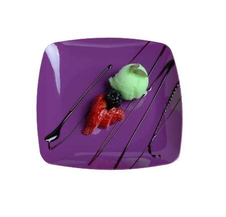 Fineline Settings 1506-PRP-X, 5.5-Inch Renaissance Purple Plastic Salad Plates, 10/CS (Discontinued)