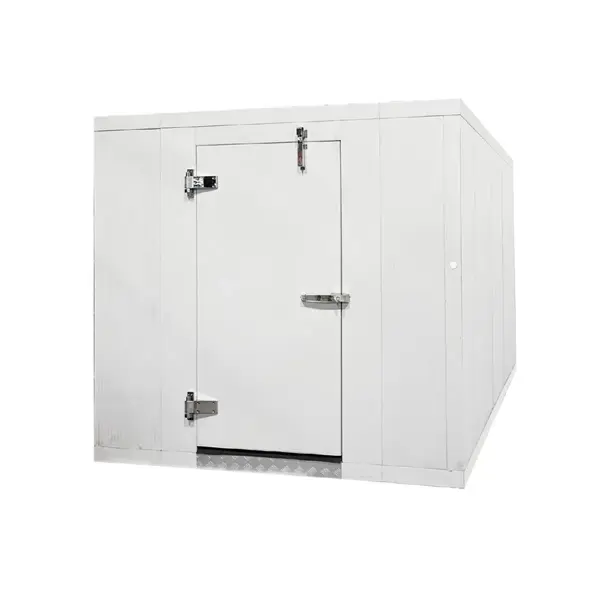 Galaxy Group Astra FWF5X8, 4'11" L x 8'2" W x 7'7" H Commercial Walk-In Freezer With Floor