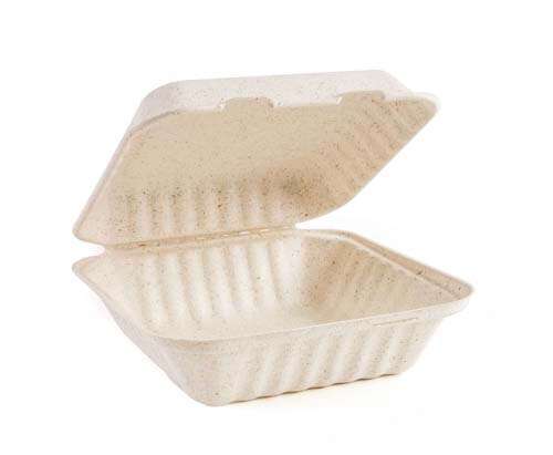 Green Wave International Green Wave OV-B088 8x8x3-Inch Ovation Marbled Hinged Bio Container, 300/CS