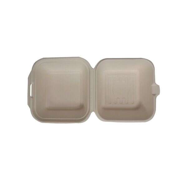 Hefty 00D72006ECO1, 6x6x3-Inch ECOSAVE PFAS-Free 1-Compartment Bagasse Fiber Hinged Container, 100/PK (Discontinued)