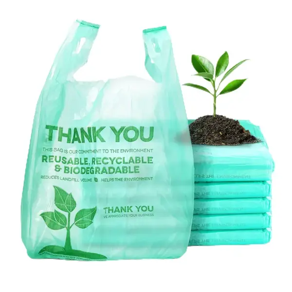 - 1/6BIO, 1/6 Biodegradable Plastic Shopping Bag, 500/CS