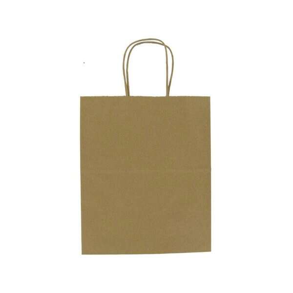 Novolex DURO 10x6.75x12-Inch 60# Kraft Paper Shopping Bag with Handles, 250/CS