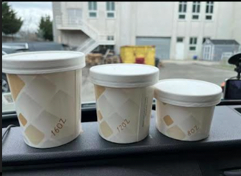 SafePro 12FCC, 12 Oz Printed Paper Soup Containers Combo with Lids, 250/CS