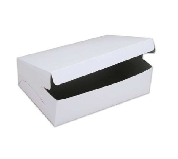 SafePro 28x18x5-Inch Cake Boxes, 25/CS