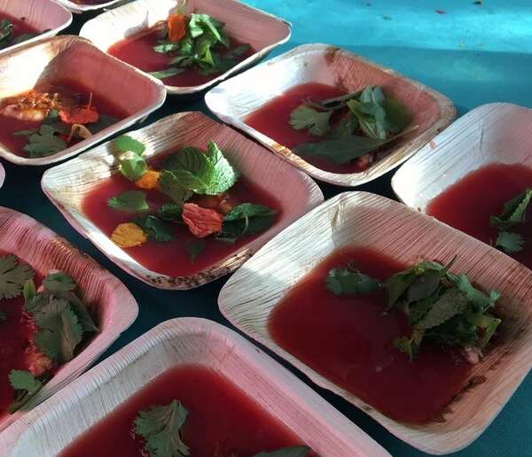 VerTerra 01-00-13B-X 6-inch Eco-Friendly Square Palm Leaf Bowl, 25/PK