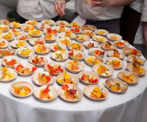 VerTerra 01-01-10B-X 3.5-inch Eco-Friendly Round Palm Leaf Bowl, 25/PK