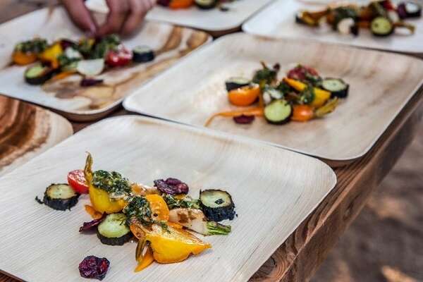 VerTerra 01-20-25B 9-inch Eco-Friendly Square Palm Leaf Plate, 300/CS