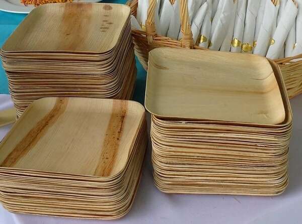 VerTerra 01-20-25B-X 9-inch Eco-Friendly Square Palm Leaf Plate, 25/PK