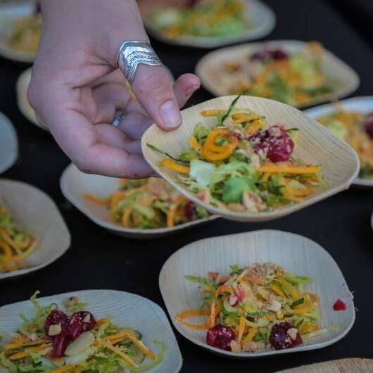 VerTerra 01-22-10B-X 4-inch Eco-Friendly Square Palm Leaf Plate, 25/PK