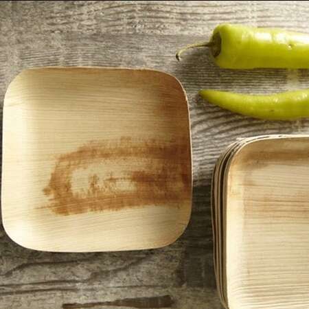 VerTerra 01-22-15B 6-inch Eco-Friendly Square Palm Leaf Plate, 300/CS