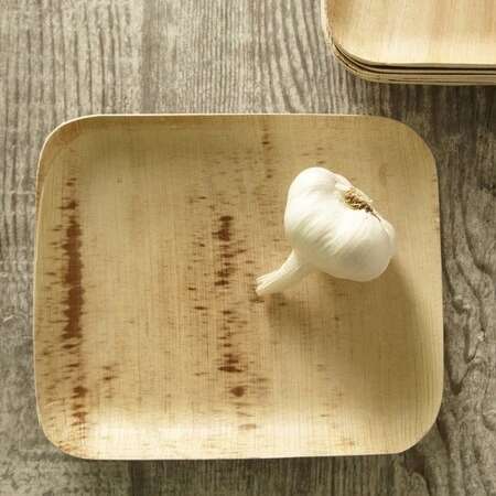 VerTerra 01-22-22B 7x8.5-inch Eco-Friendly Rectangular Palm Leaf Plate, 300/CS