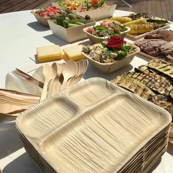 VerTerra 02-25-03C 9-inch Eco-Friendly Square 3-Compartment Palm Leaf Plate, 250/CS