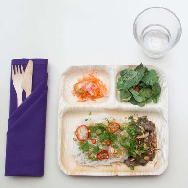 VerTerra 02-25-03C-X 9-inch Eco-Friendly Square 3-Compartment Palm Leaf Plate, 25/PK