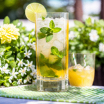 Arcoroc 40342, 10 Oz Clear Highball Island Glass, 24/CS