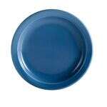 C.A.C. L-16NR-LBU, 10.5-Inch Las Vegas Narrow Rim Light Blue Plate, DZ