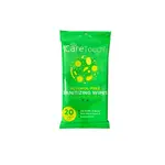 CareTouch CTAFW20-X, 20 Wipes/Pack Alcohol-free Hand Sanitizing Wipes, Pack (Discontinued)