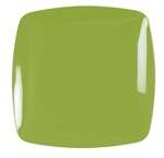 Fineline Settings 1510-GRN-X, 10-Inch Renaissance Green Plastic Dinner Plates, 10/CS (Discontinued)