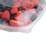 Fineline Settings 15816L-L, 10.75-inch Super Bowl Plus Extra Large Dome Lid for Extra Large PET Bowl, 50/CS