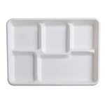 Fineline Settings 42RCT128S5, 12.7x8.7-inch 5-Compartment Conserveware Bagasse Rectangular Tray, 250/CS (Discontinued)