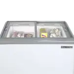 Maxx Cold MXF31F 31-Inch Wide Mobile Ice Cream Display Freezer