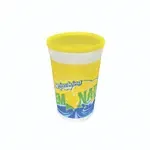 CLOSEOUT - WNA TRI16TLEM11, 16 Oz ''Lemonade'' Tall Plastic Kid's Cup Set with Straw, 500/CS