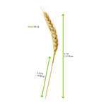 PacknWood 210BBWH15, 7-Inch Bamboo Wheat Skewers, 500/CS