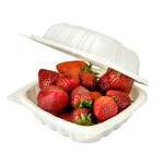 SafePro Eco BG81 8x8-inch White Square Microwavable PP Container w/Hinged Lid, 150/CS
